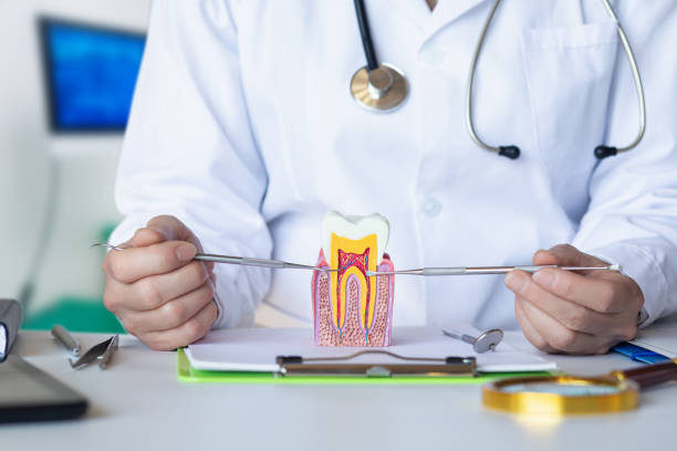 Best Emergency Tooth Extraction in Manson, WA